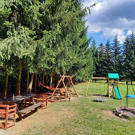 Villa Zacisze à Karlow Extérieur photo